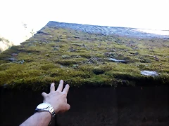 DSCN0120 DSCN0120