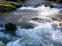 DSCN1517 DSCN1517
