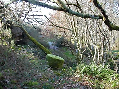DSCN1508 DSCN1508