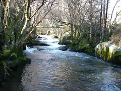 DSCN1510 DSCN1510