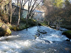 DSCN1514 DSCN1514