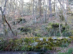 DSCN1516 DSCN1516