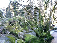 DSCN1511 DSCN1511