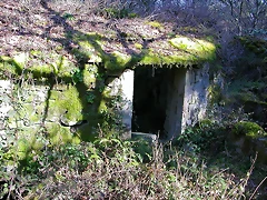 DSCN1506 DSCN1506