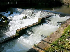 DSCN1534 DSCN1534