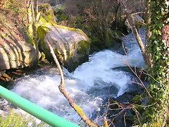 DSCN1505 DSCN1505