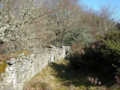 DSCN1522 DSCN1522