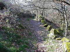 DSCN1521 DSCN1521