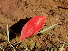 11, caminando sobre el agua, marca