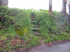 DSCN7332 DSCN7332