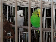 IMG_20180427_160956