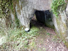 DSCN1364 DSCN1364