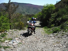 DSCF2525 DSCF2525