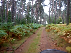 DSCN9946 DSCN9946