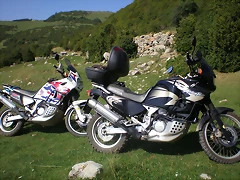 P8110007 P8110007
