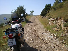 P8110009 P8110009