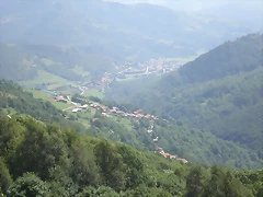 P8110011 P8110011