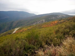 DSCN9915 DSCN9915