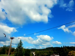 DSCN6405 DSCN6405