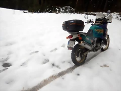 DSCN3042
