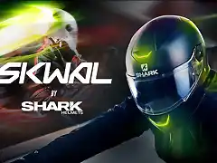 shark-skwal