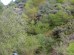 DSCN9082 DSCN9082