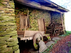 DSCN3896