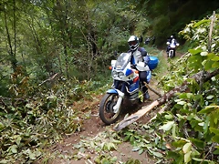 DSCN9815 DSCN9815