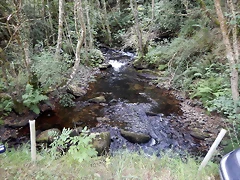DSCN4379 DSCN4379