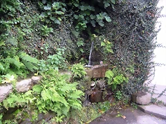 IMG_0196 IMG_0196
