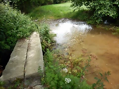 DSCN4395 DSCN4395