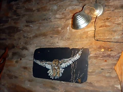 DSCN8723 DSCN8723