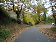DSCN0818 DSCN0818