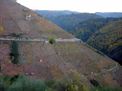DSCN6561 DSCN6561