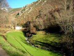DSCN2984 DSCN2984