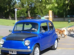P1190111 P1190111