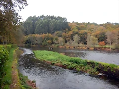 DSCN1218 DSCN1218
