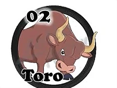 toro