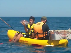 100_0066 100_0066