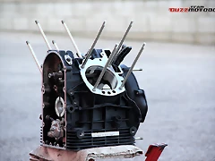 IMG_2552 IMG_2552