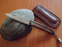 SAM_1414 SAM_1414