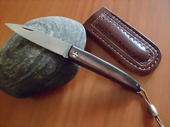 SAM_1413 SAM_1413