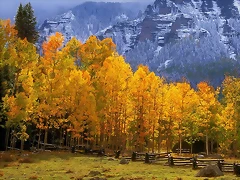 Fall in the High Country, Colorado Fall in the High Country, Colorado