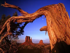 Fallen, Monument Valley, Arizona Fallen, Monument Valley, Arizona