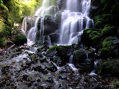 Fairy Falls, Columbia Gorge, Oregon Fairy Falls, Columbia Gorge, Oregon