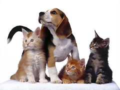 Family Portrait Family Portrait