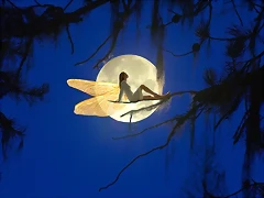 Fairytale Moon Fairytale Moon