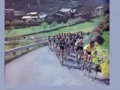 Perico-Vuelta1983-Hinault-Fignon