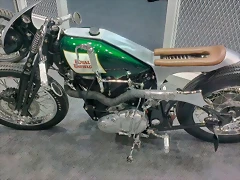 IMAG0667