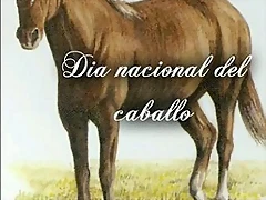 caballlo